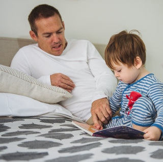 BLANKETS - ALADDIN - MERINO - -