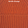 Seville Orange