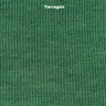 Tarragon Green